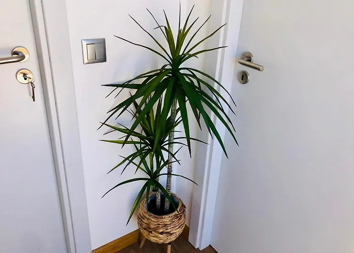 Ferienhaus Casas Do Baleeiro - Whaler's By Rentery Madeira *