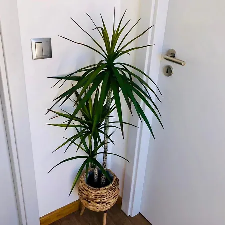 Σπίτι διακοπών Casas Do Baleeiro - Whaler's *